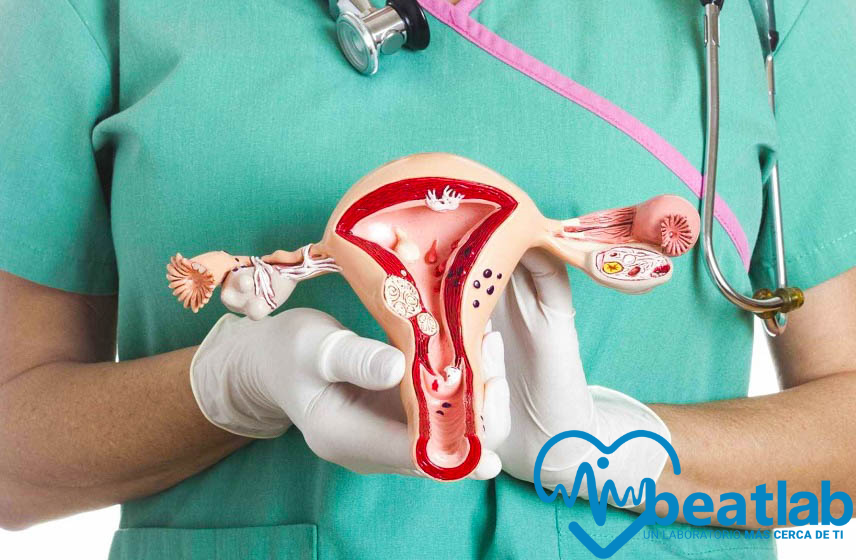 salud ginecologica